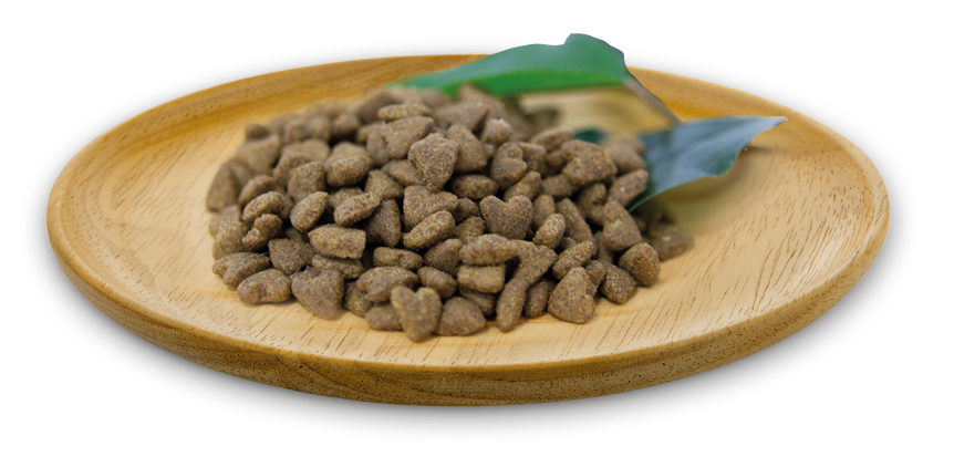 naturalgreatness_croquetas_atlanticsea1.webp