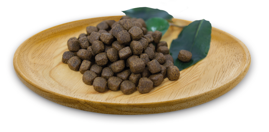 naturalgreatness_croquetas_turkeyrecipe.webp