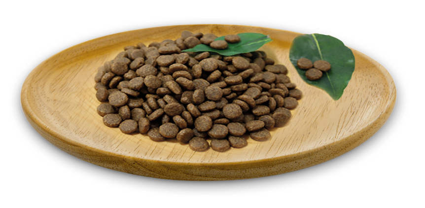 naturalgreatness_croquetas_wildinstinctmediumlarge1.webp