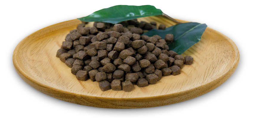 naturalgreatness_croquetas_chickenrecipe_1.webp