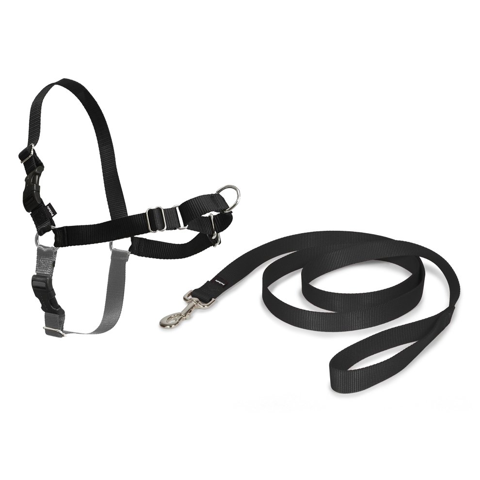 Easywalk Arnes T-M Negro